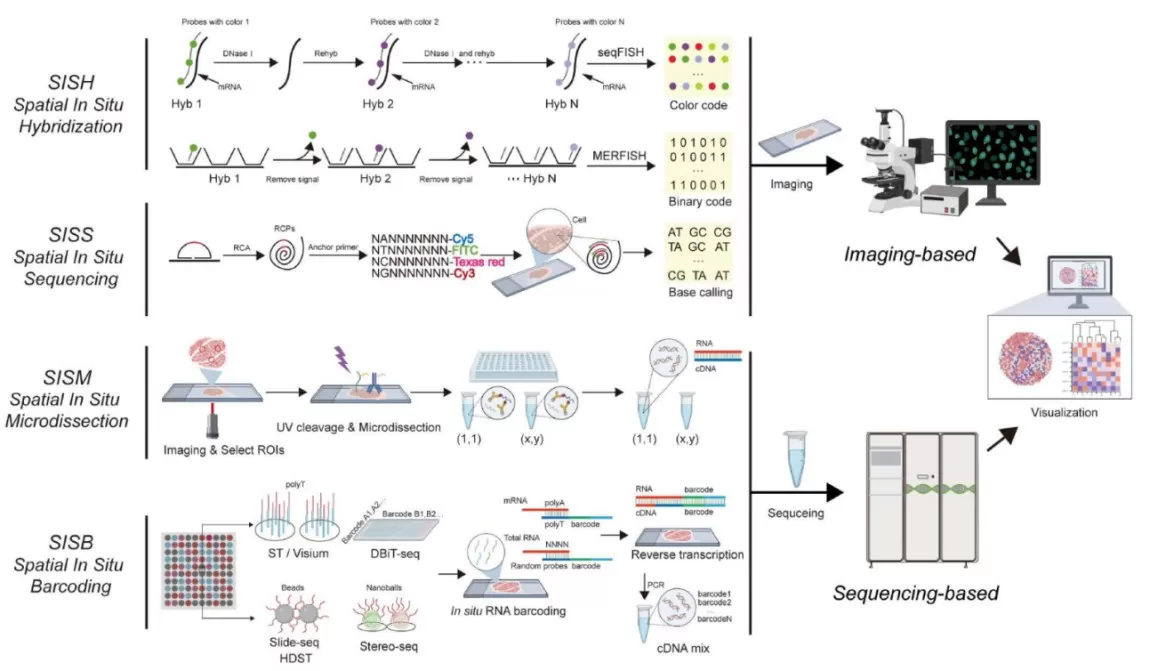 Four core methodologies of Spatial Transcriptomics